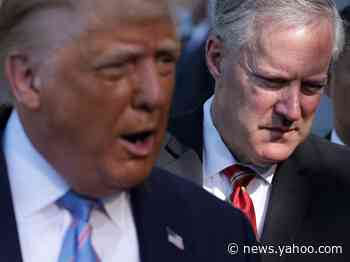 White House chief of staff doubled down on Trump accusing the FDA of 'deep state conspiracy' to slow coronavirus treatments