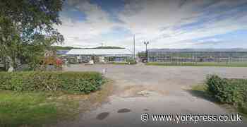 Anguish as thieves strike at Browns Nurseries in Wigginton