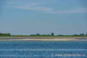 SOS Dolfijn op zoek naar zeldzame butskoppen in Oosterschelde