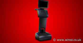 Everybody loves robots until they start punching people in the face