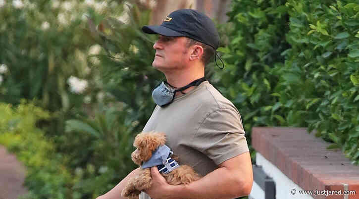 Orlando Bloom Takes Katy Perry's Dog Nugget for a Walk While Awaiting the Birth of His Daughter