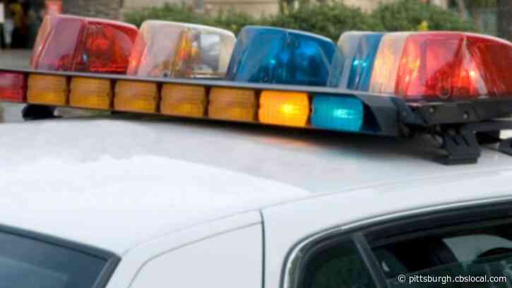 Police Investigate After Discovering Man Fatally Shot In Head In Northview Heights