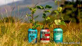 Brewdog achieves 'carbon negativity', offsetting more emissions than it generates