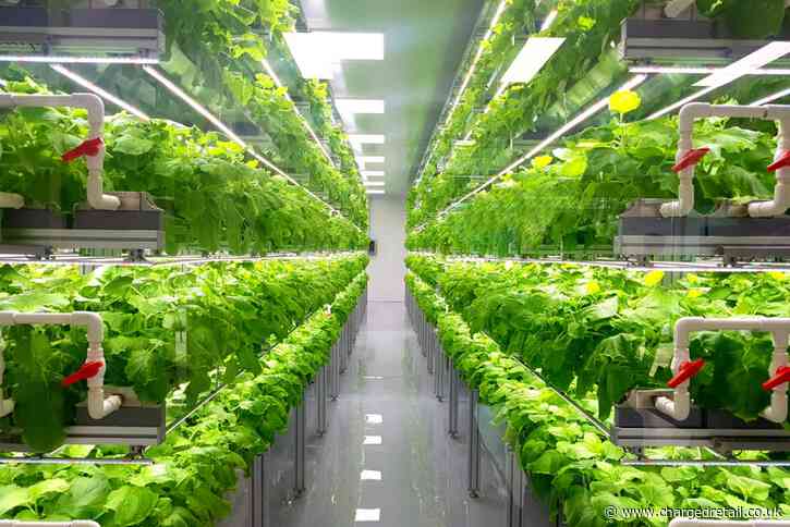 Ocado ramps up investment in vertical farming as pandemic boosts interest