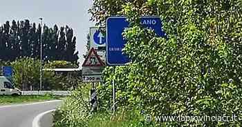 Cartelli soffocati dall'erba. I Comuni sono in difficoltà - La Provincia