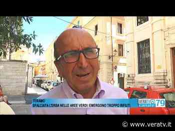 Teramo – Sfalciata l'erba nelle aree verdi: emergono troppi rifiuti - Vera TV
