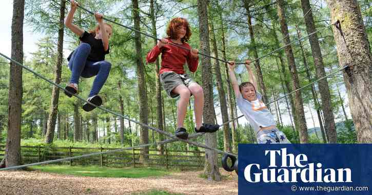 Children raised in greener areas have higher IQ, study finds