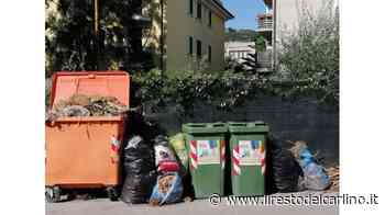 "Erba e rami sulla strada, stanno lì da un mese" - il Resto del Carlino