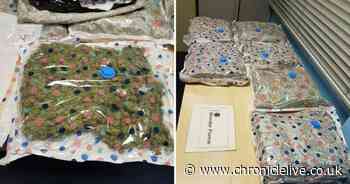 Police seize £25,000 worth of cannabis which was dropped off at an empty house