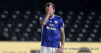 Cardiff City duo's injuries could shape Neil Harris' summer transfer plans