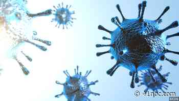 Medical Segment: Coliseum's Chief Medical Officer talks about pandemic, part one - 41 NBC News
