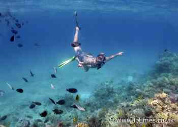 British teen dies after being hit by speedboat while snorkelling in Tahiti