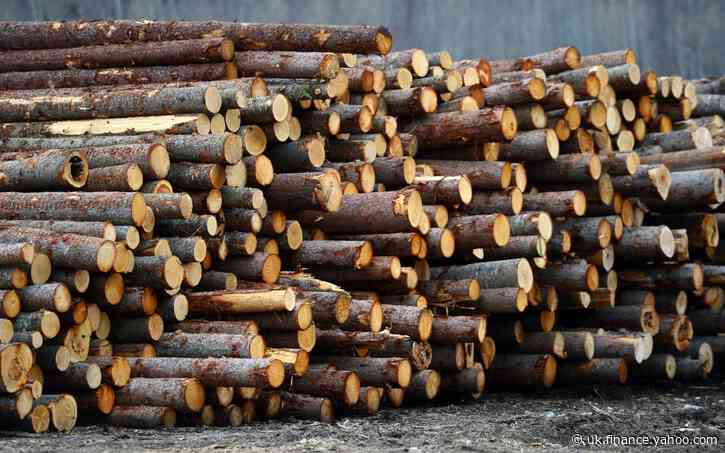 Lumber prices hit record high after lockdown spurs DIY boom