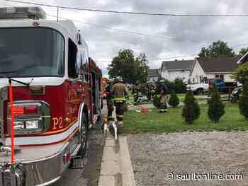 Dog Rescued from McFadden Avenue Fire