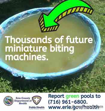 Erie County Department of Health warns residents to eliminate mosquito breeding grounds