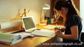Home schooling 'biggest cause of family stress'