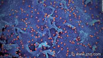 Hong Kong man 'first case' documented of getting coronavirus twice, researchers say