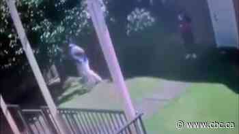 Pear-picking real estate agent caught on video taking bags of fruit from backyard during showing