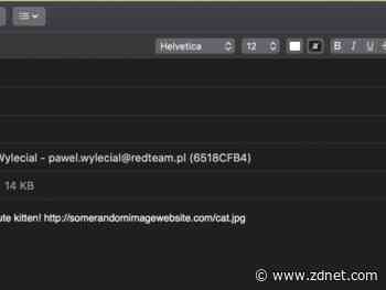 Security researcher discloses Safari bug after Apple's delays patch
