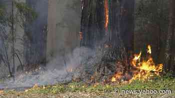 Wet weather helps put out flames from CZU Lightning Complex Fire