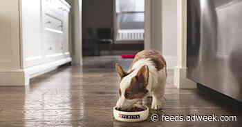 Purina Sets Special National Dog Day Facebook Live Video