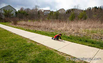 Vermont College of Fine Arts Exhibitions Foreground Adaptability Amid the Unexpected - Hyperallergic