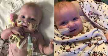 Gateshead parents' heartache after nine-month-old baby dies from heart problems - Chronicle Live