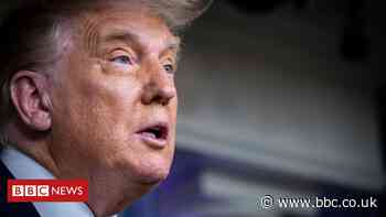 TikTok calls Trump ban ‘political’ in lawsuit