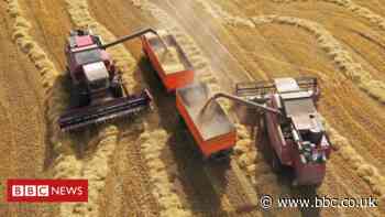 Climate change: Removing CO2 could spark big rise in food prices