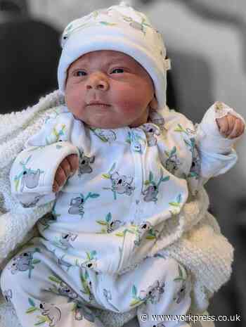 More of York's lockdown babies to brighten up your day