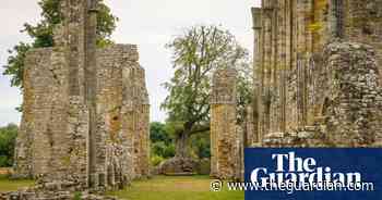Special branches: the nominations to be England's tree of the year – in pictures