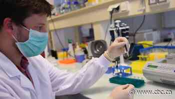 As school year nears, some warn Canada 'lagging behind' on approving COVID-19 saliva tests