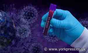 York's weekly rate of coronavirus rises from 3.8 to 6.6