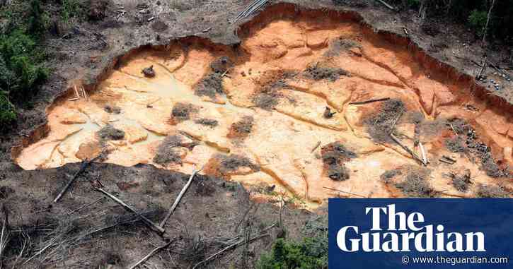 UK sets out law to curb illegal deforestation and protect rainforests