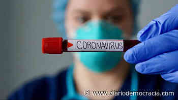 Coronavirus: hay tres nuevos casos positivos en Junín y el número sube a 12 - Diario Democracia