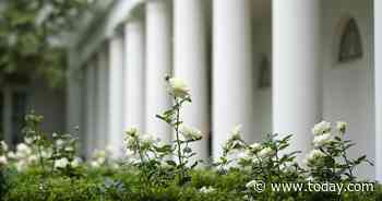 First lady Melania Trump unveils renewed White House Rose Garden ahead of speech