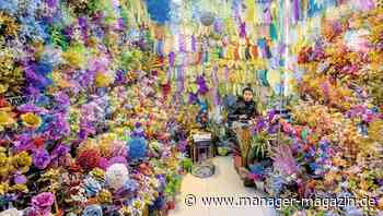 Rabatte: Was sind faire Preise?