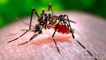 Toronto confirms 1st human case of West Nile virus in 2020