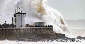 Highest ever gusts of wind recorded in August as Storm Francis lashes UK