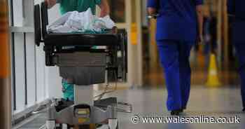 Probe after kids' medical records leaked by Swansea Bay health board