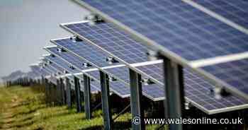 Solar park planned on the Gwent Levels in Newport