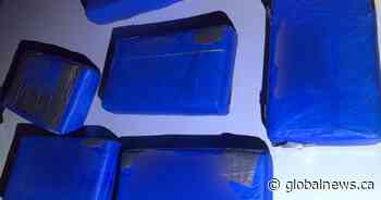 6 kilos of suspected cocaine seized in Saskatchewan traffic stop