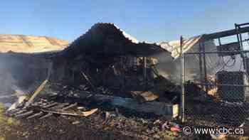 SaskTel says full restoration of services in Spiritwood region may take 10 days