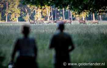 Losse kaartjes voor Hoge Veluwe volgend jaar niet duurder