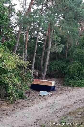 Doodskist jaagt wandelaars in bos stuipen op het lijf