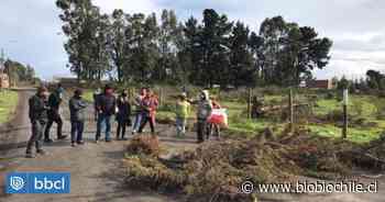 Paciente covid escapó de residencia e ingresó a casas en Coronel: vecinos cortan acceso en protesta - BioBioChile