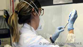 Tamponi in ritardo, l’Ausl di Modena: colpa delle mail - La Gazzetta di Modena