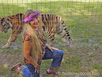 A Tiger King series about Carole Baskin is in the works for Peacock     - CNET