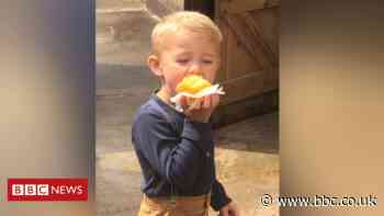 Newcastle crash: Layton Darwood, 5, dies after being hit by van