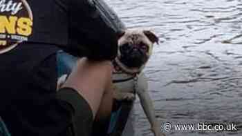 Storm Francis: Thousands lose power amid storm chaos